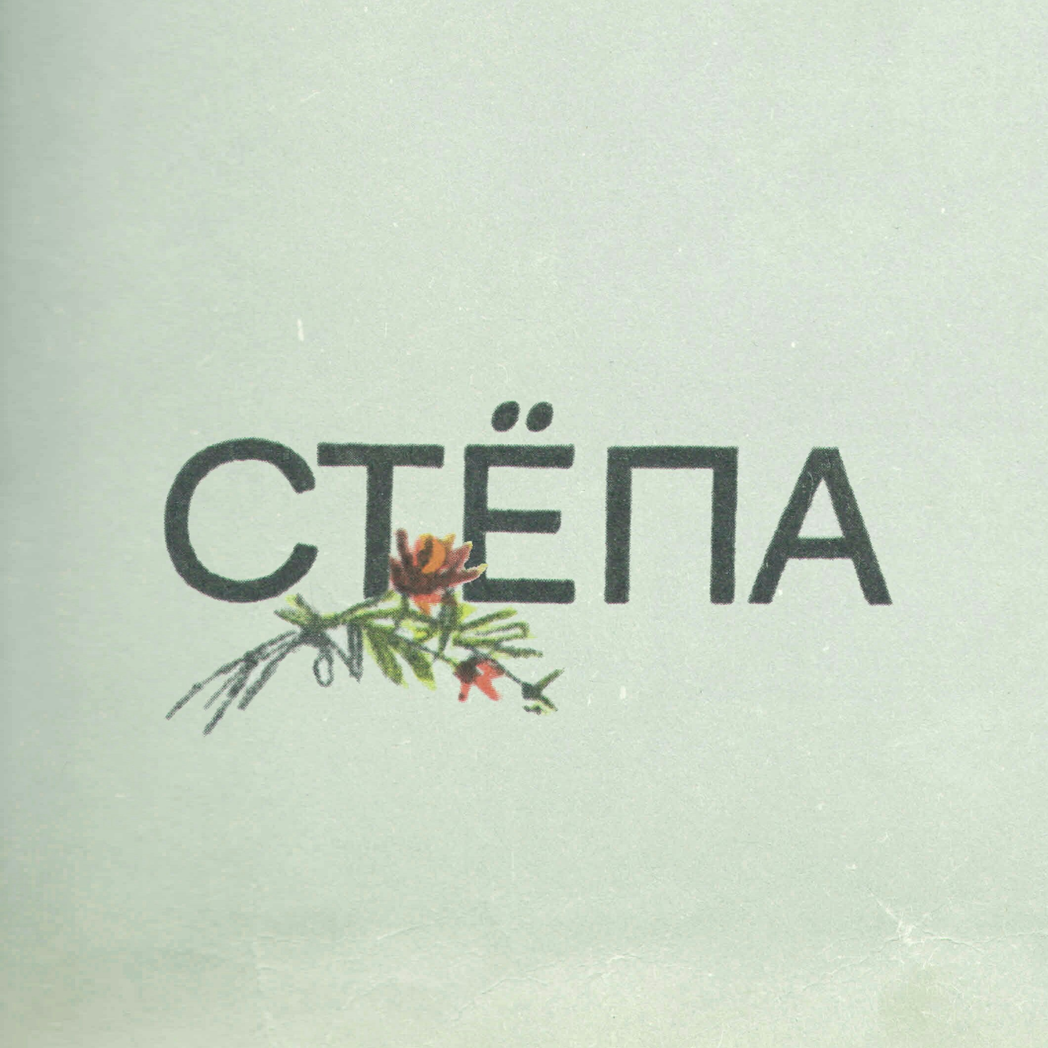 Стёпа.png